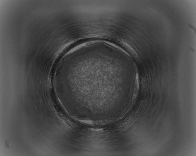 X0000093100628200710171201