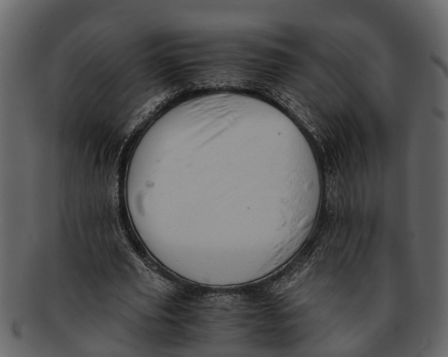 X0000093100629200710171201