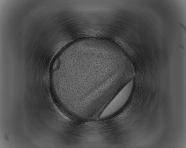 X0000093100630200710171201