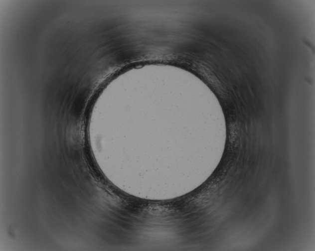 X0000093100632200710171201