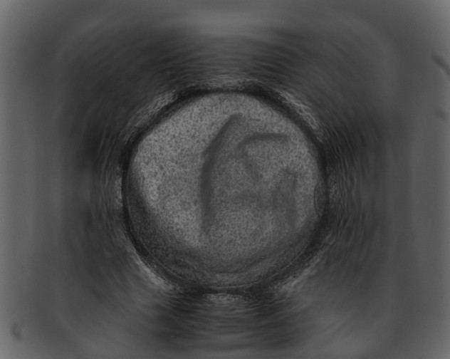 X0000093100633200710171201