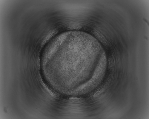 X0000093100634200710171201