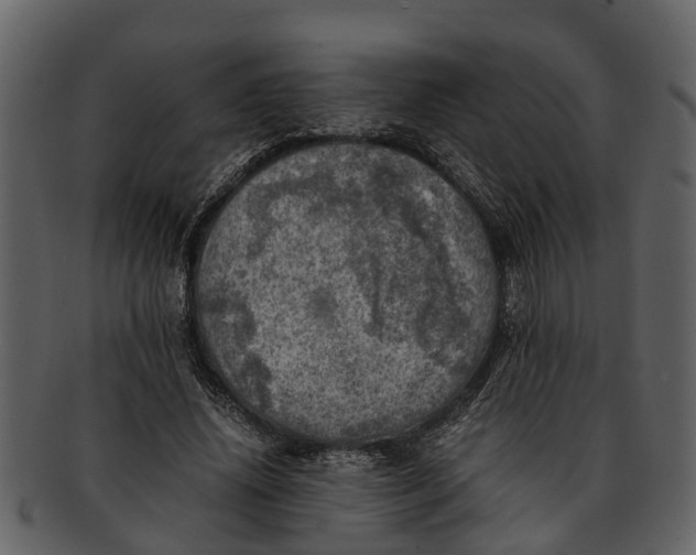 X0000093100636200710171201