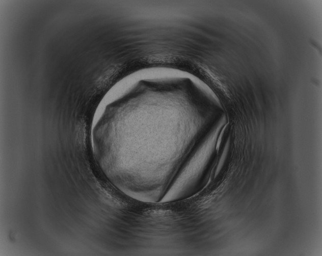 X0000093100637200710171201