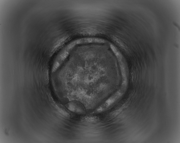 X0000093100638200710171201