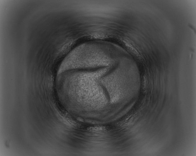 X0000093100639200710171201