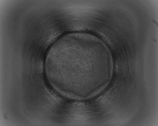 X0000093100640200710171201