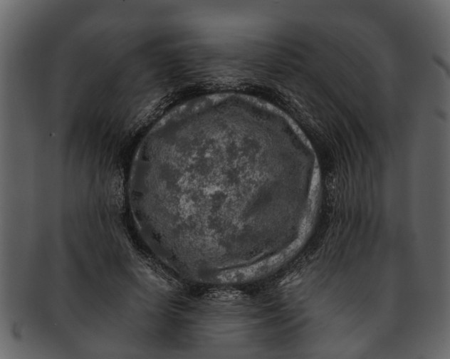 X0000093100642200710171201