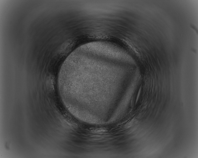 X0000093100643200710171201