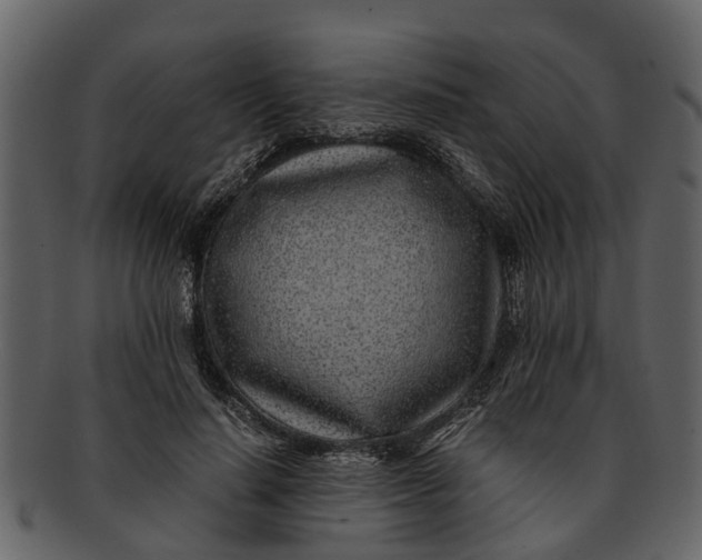 X0000093100644200710171201