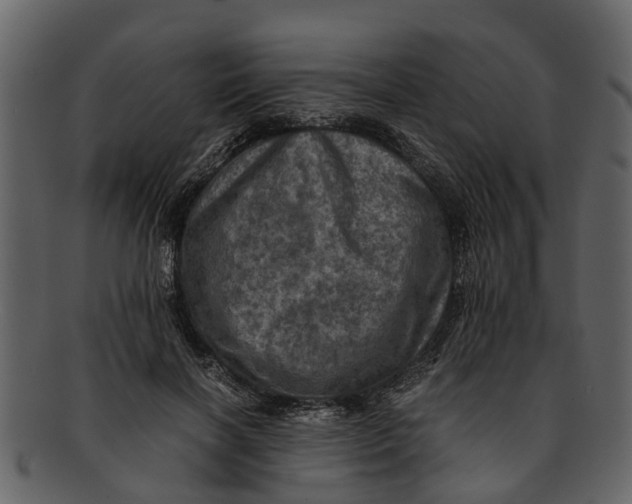 X0000093100646200710171201