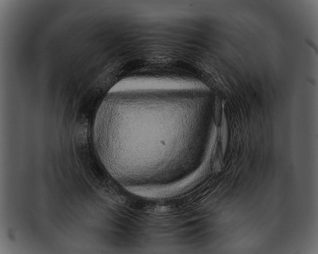 X0000093100647200710171201