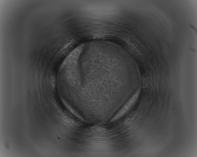 X0000093100648200710171201