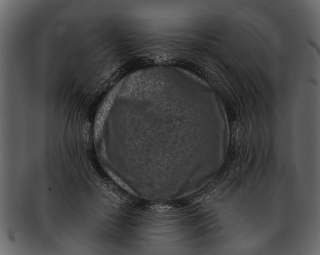 X0000093100650200710171202