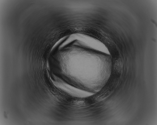 X0000093100651200710171202