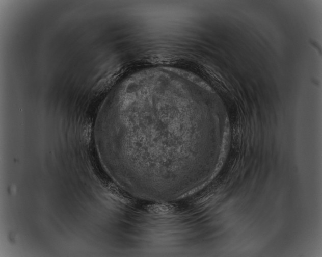 X0000093100652200710171202