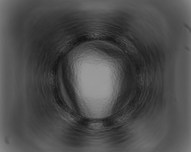 X0000093100653200710171202