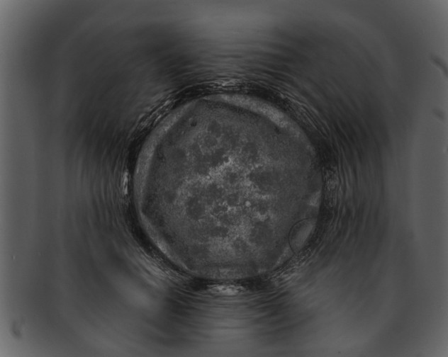 X0000093100654200710171202