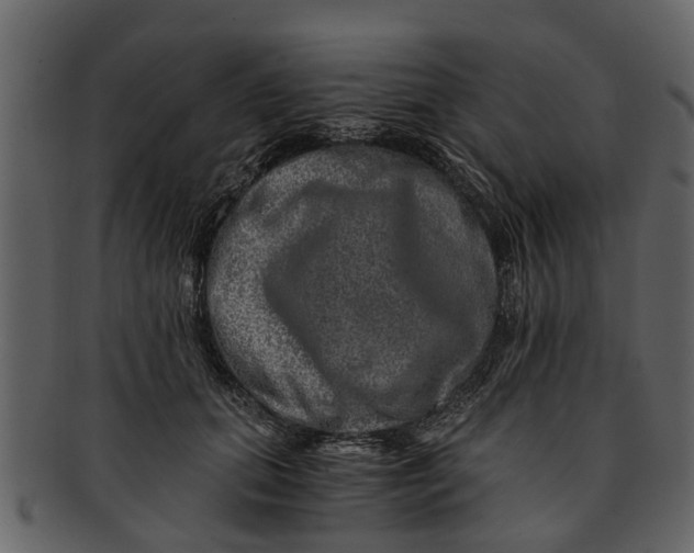 X0000093100655200710171202
