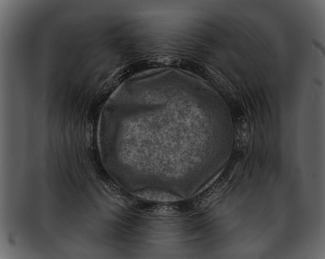 X0000093100656200710171202