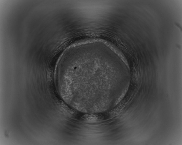 X0000093100658200710171202