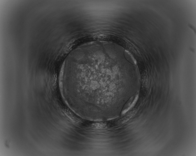 X0000093100660200710171202