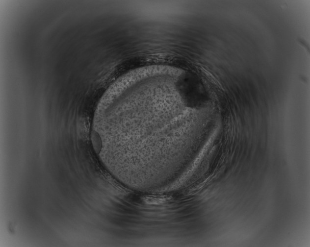 X0000093100661200710171202
