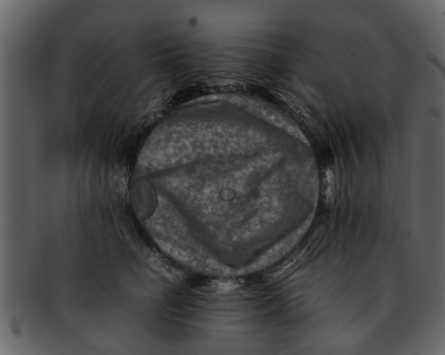 X0000093100662200710171202