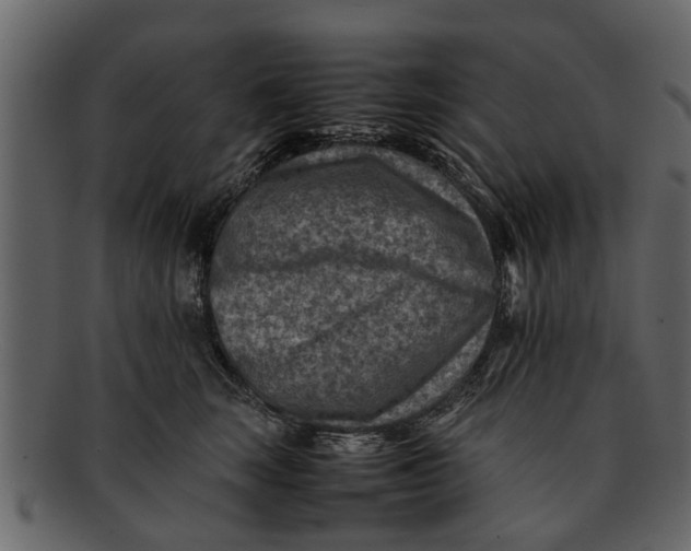 X0000093100663200710171202