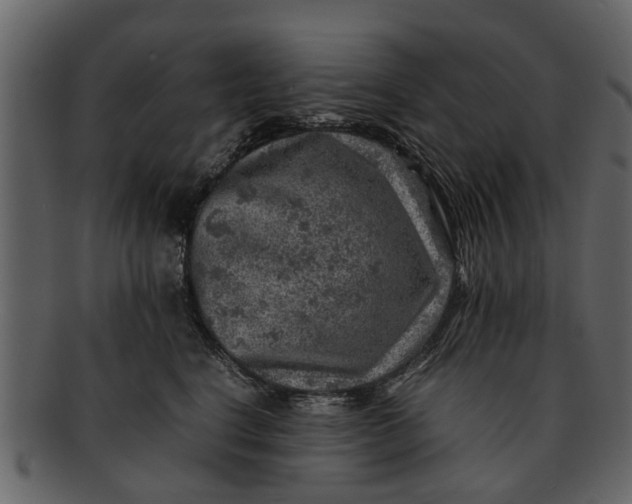 X0000093100664200710171202