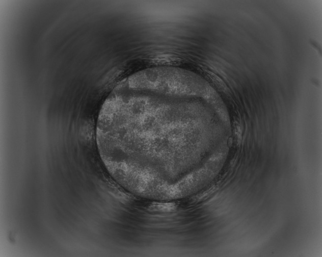 X0000093100665200710171202