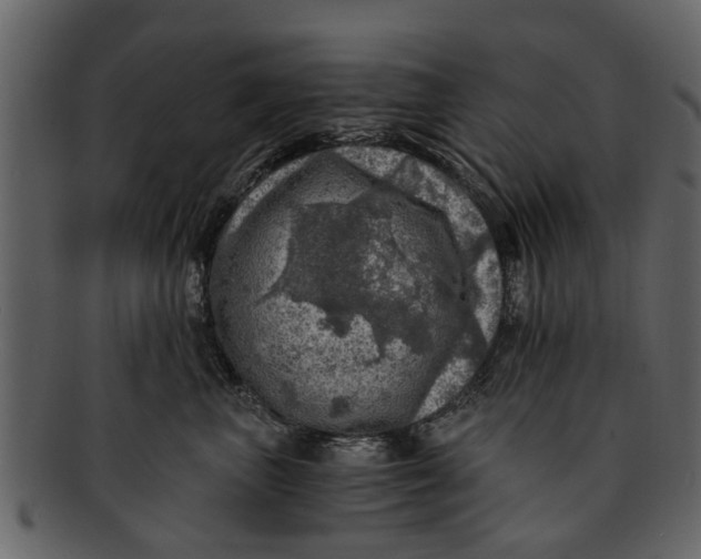 X0000093100667200710171202