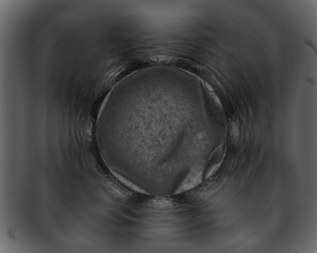 X0000093100668200710171202