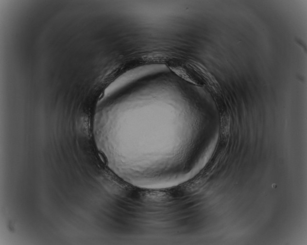 X0000093100669200710171202