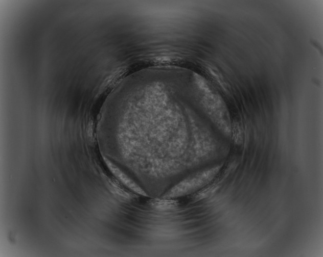 X0000093100670200710171202