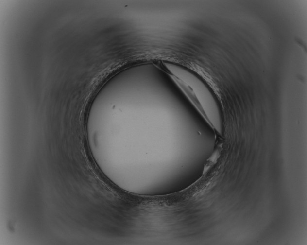 X0000093100673200710171201