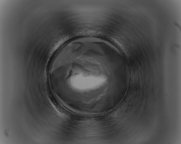 X0000093100674200710171201