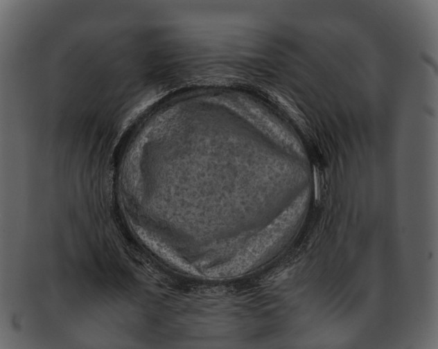 X0000093100675200710171201