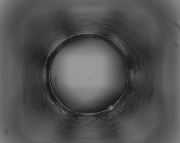 X0000093100676200710171201