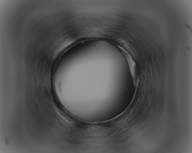 X0000093100677200710171201