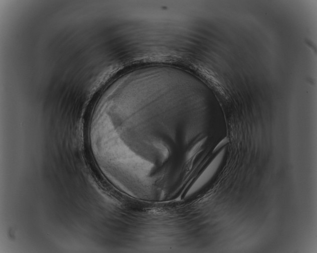 X0000093100678200710171201