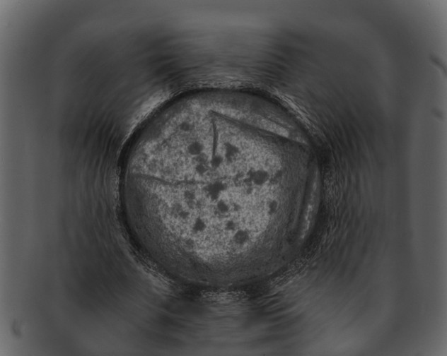 X0000093100679200710171201