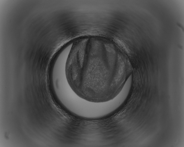 X0000093100680200710171201