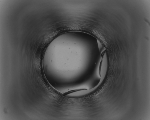 X0000093100681200710171201