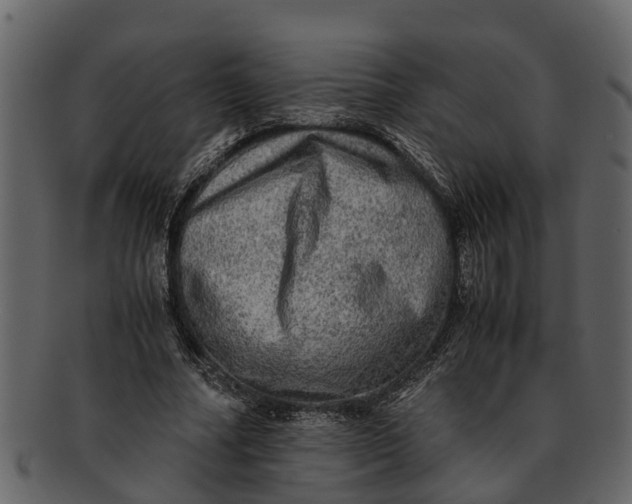 X0000093100682200710171201