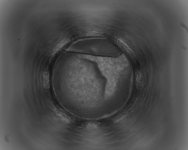 X0000093100684200710171201