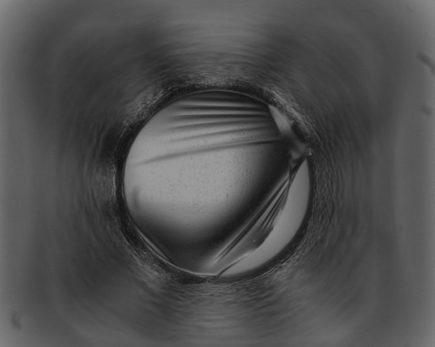 X0000093100685200710171201