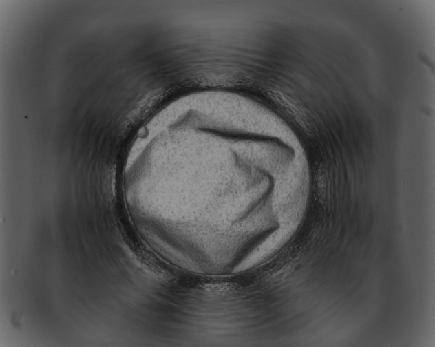 X0000093100686200710171201