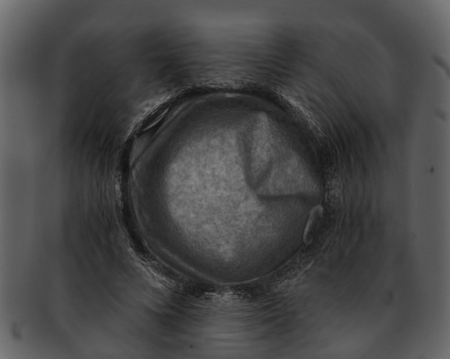 X0000093100688200710171201