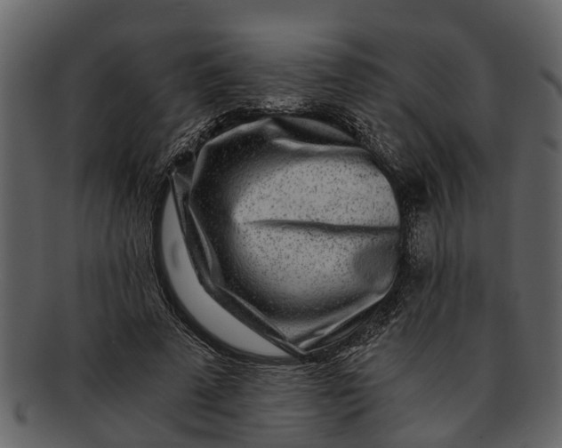X0000093100689200710171201